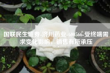 国联民生证券-济川药业-600566-受终端需求变化影响，销售有所承压