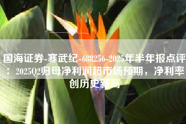 国海证券-寒武纪-688256-2025年半年报点评：2025Q2归母净利润超市场预期，净利率创历史新高