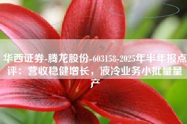 华西证券-腾龙股份-603158-2025年半年报点评：营收稳健增长，液冷业务小批量量产