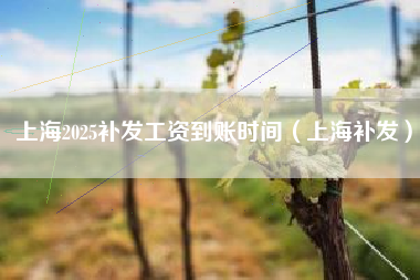 上海2025补发工资到账时间（上海补发）