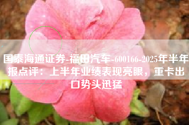 国泰海通证券-福田汽车-600166-2025年半年报点评：上半年业绩表现亮眼，重卡出口势头迅猛