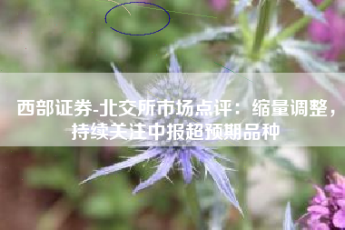 西部证券-北交所市场点评：缩量调整，持续关注中报超预期品种