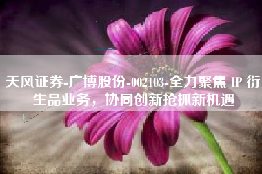 天风证券-广博股份-002103-全力聚焦 IP 衍生品业务，协同创新抢抓新机遇