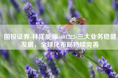国投证券-林洋能源-601222-三大业务稳健发展，全球化布局持续完善