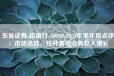 东吴证券-指南针-300803-2025年半年报点评：市场活跃，拉升各项业务收入增长