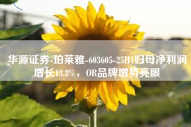 华源证券-珀莱雅-603605-25H1归母净利润增长13.8%，OR品牌增势亮眼