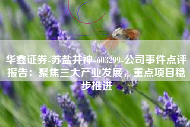 华鑫证券-苏盐井神-603299-公司事件点评报告：聚焦三大产业发展，重点项目稳步推进