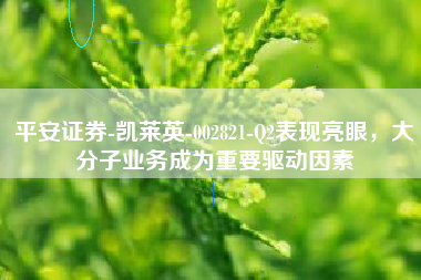 平安证券-凯莱英-002821-Q2表现亮眼，大分子业务成为重要驱动因素