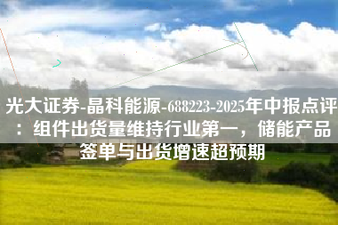 光大证券-晶科能源-688223-2025年中报点评：组件出货量维持行业第一，储能产品签单与出货增速超预期