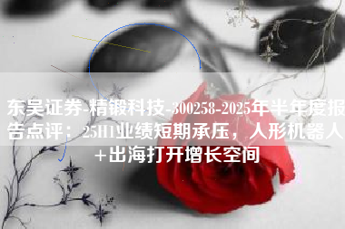 东吴证券-精锻科技-300258-2025年半年度报告点评：25H1业绩短期承压，人形机器人+出海打开增长空间