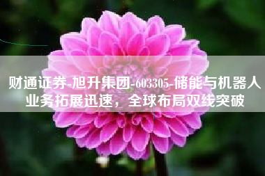 财通证券-旭升集团-603305-储能与机器人业务拓展迅速，全球布局双线突破