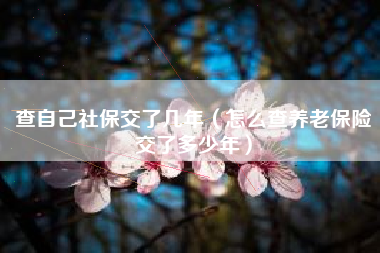 查自己社保交了几年（怎么查养老保险交了多少年）