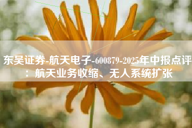 东吴证券-航天电子-600879-2025年中报点评：航天业务收缩、无人系统扩张