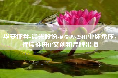 华安证券-晨光股份-603899-25H1业绩承压，持续推进IP文创和品牌出海