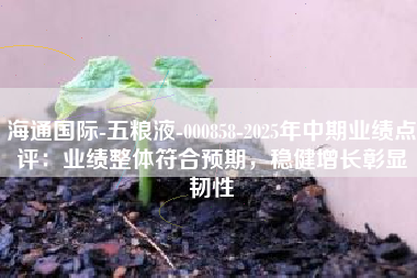 海通国际-五粮液-000858-2025年中期业绩点评：业绩整体符合预期，稳健增长彰显韧性