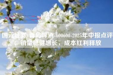 国元证券-青岛啤酒-600600-2025年中报点评：销量稳健增长，成本红利释放