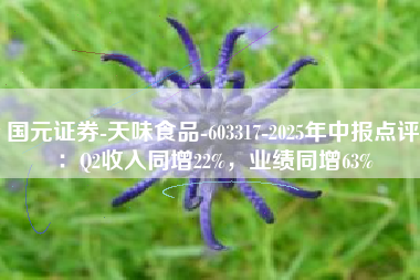 国元证券-天味食品-603317-2025年中报点评：Q2收入同增22%，业绩同增63%