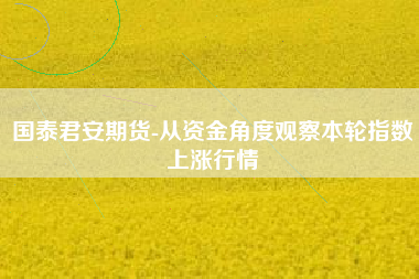 国泰君安期货-从资金角度观察本轮指数上涨行情