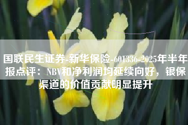 国联民生证券-新华保险-601336-2025年半年报点评：NBV和净利润均延续向好，银保渠道的价值贡献明显提升