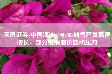 天风证券-中国海油-600938-油气产量高速增长，部分抵消油价波动压力