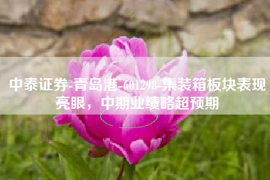 中泰证券-青岛港-601298-集装箱板块表现亮眼，中期业绩略超预期