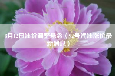 8月12日油价调整悬念（92号汽油涨价最新消息）