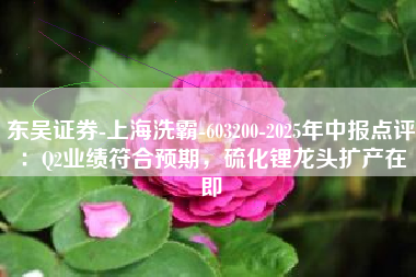 东吴证券-上海洗霸-603200-2025年中报点评：Q2业绩符合预期，硫化锂龙头扩产在即