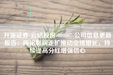 开源证券-云铝股份-000807-公司信息更新报告：吨铝利润走扩推动业绩增长，持续提高分红增强信心