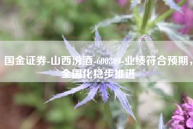 国金证券-山西汾酒-600809-业绩符合预期，全国化稳步推进