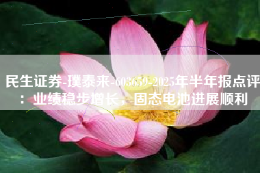 民生证券-璞泰来-603659-2025年半年报点评：业绩稳步增长，固态电池进展顺利