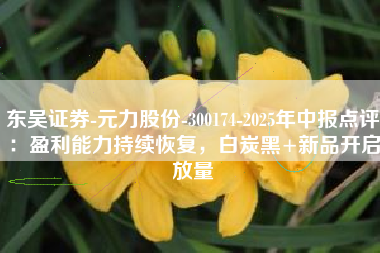 东吴证券-元力股份-300174-2025年中报点评：盈利能力持续恢复，白炭黑+新品开启放量
