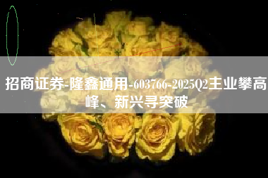 招商证券-隆鑫通用-603766-2025Q2主业攀高峰、新兴寻突破