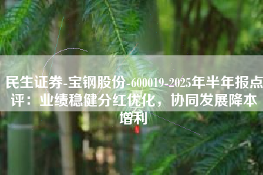 民生证券-宝钢股份-600019-2025年半年报点评：业绩稳健分红优化，协同发展降本增利