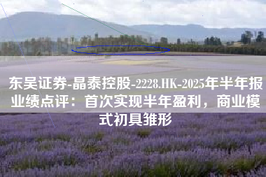 东吴证券-晶泰控股-2228.HK-2025年半年报业绩点评：首次实现半年盈利，商业模式初具雏形