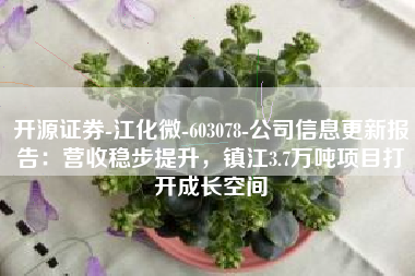 开源证券-江化微-603078-公司信息更新报告：营收稳步提升，镇江3.7万吨项目打开成长空间