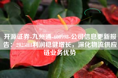 开源证券-九州通-600998-公司信息更新报告：2025H1利润稳健增长，深化物流供应链业务优势