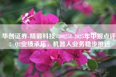 华创证券-精锻科技-300258-2025年中报点评：Q2业绩承压，机器人业务稳步推进