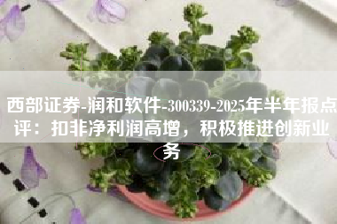 西部证券-润和软件-300339-2025年半年报点评：扣非净利润高增，积极推进创新业务