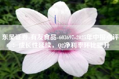 东吴证券-有友食品-603697-2025年中报点评：成长性延续，Q2净利率环比提升