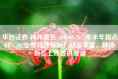 华创证券-神州泰岳-300002-2025年半年报点评：Q2业绩符合预期；储备丰富，静待新品上线提供增量