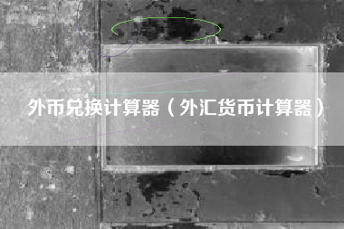 外币兑换计算器（外汇货币计算器）