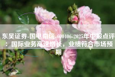 东吴证券-国电南瑞-600406-2025年中报点评：国际业务高速增长，业绩符合市场预期