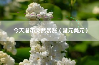 今天港币突然暴涨（港元美元）