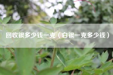 回收银多少钱一克（白银一克多少钱）