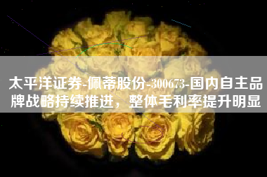 太平洋证券-佩蒂股份-300673-国内自主品牌战略持续推进，整体毛利率提升明显