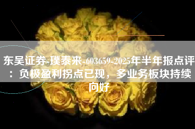 东吴证券-璞泰来-603659-2025年半年报点评：负极盈利拐点已现，多业务板块持续向好