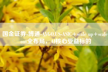 国金证券-博通-AVGO.US-ASIC+scale up+scale out全布局，AI核心受益标的