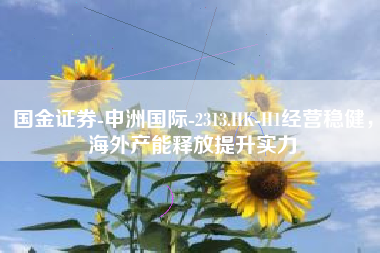 国金证券-申洲国际-2313.HK-H1经营稳健，海外产能释放提升实力