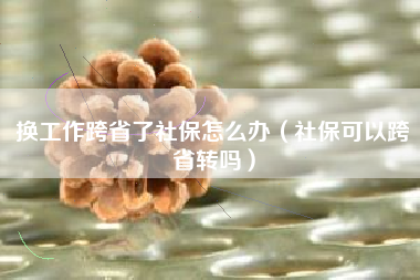 换工作跨省了社保怎么办（社保可以跨省转吗）