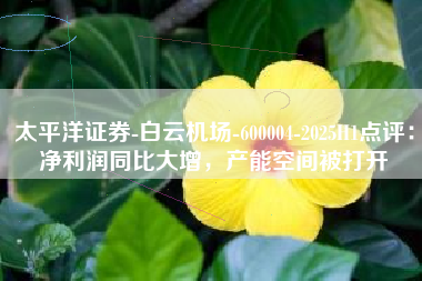 太平洋证券-白云机场-600004-2025H1点评：净利润同比大增，产能空间被打开